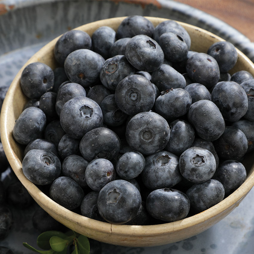 Pint, Fresh Blueberries