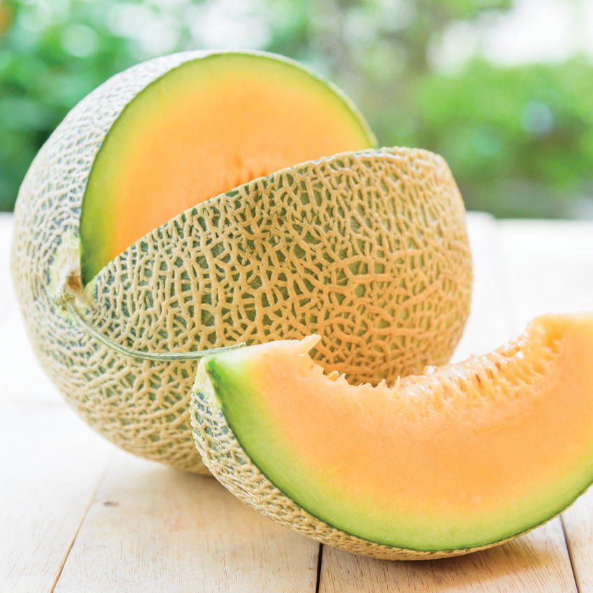 Fresh Cantaloupes