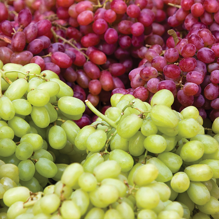 Red or Green Seedless Grapes