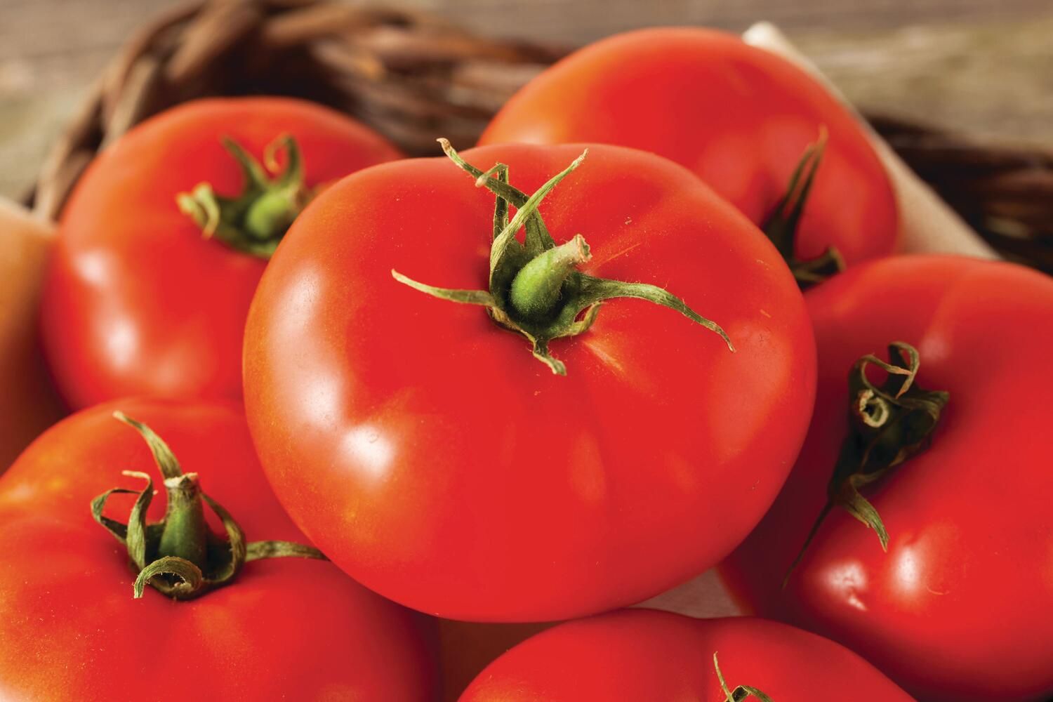 Beefsteak Tomatoes, $1.49 Lb.