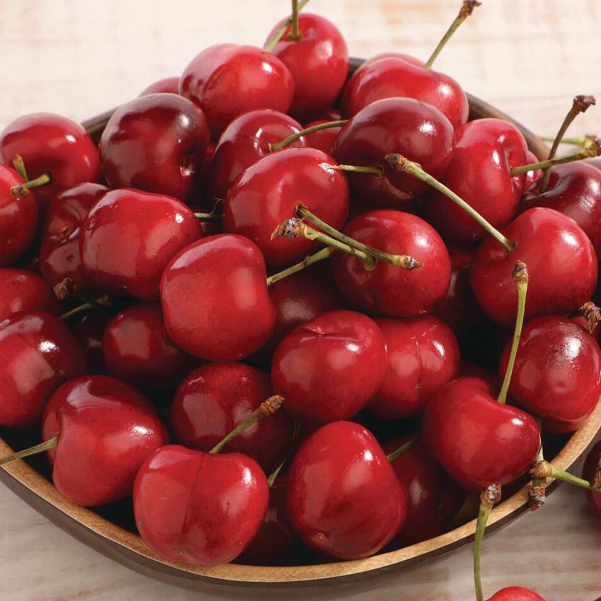 Red Ripe Cherries, $3.99 Lb.