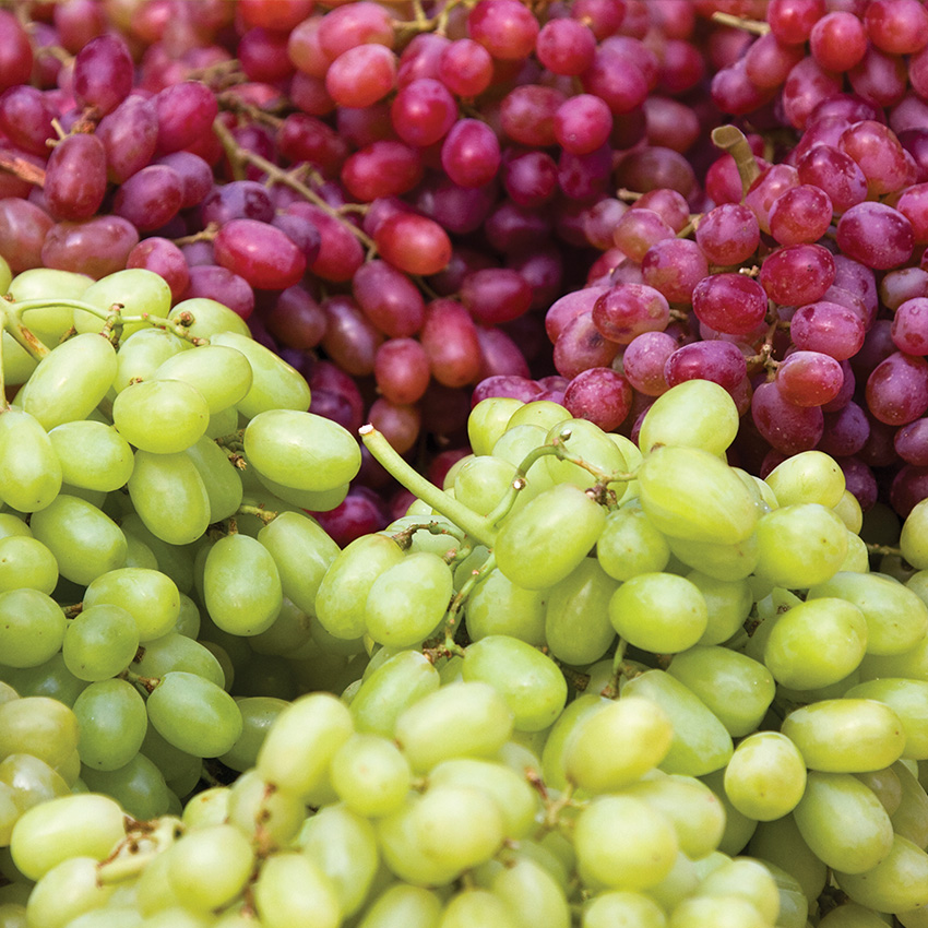 Red or Green Grapes