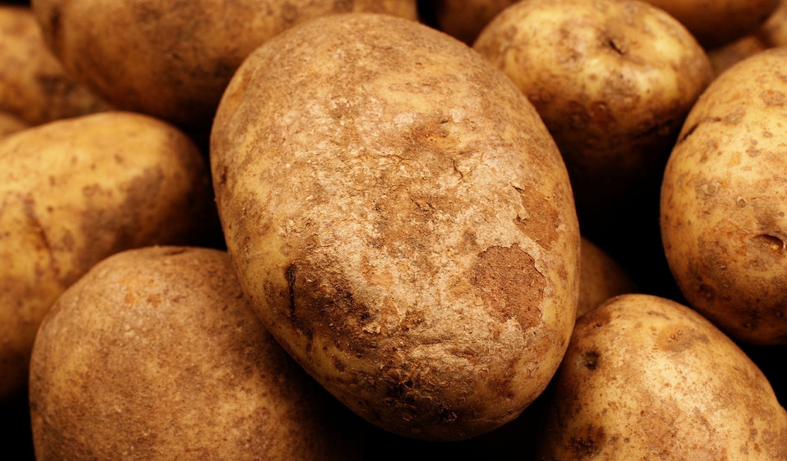 5 Lb. Idaho Potatoes, $2.50