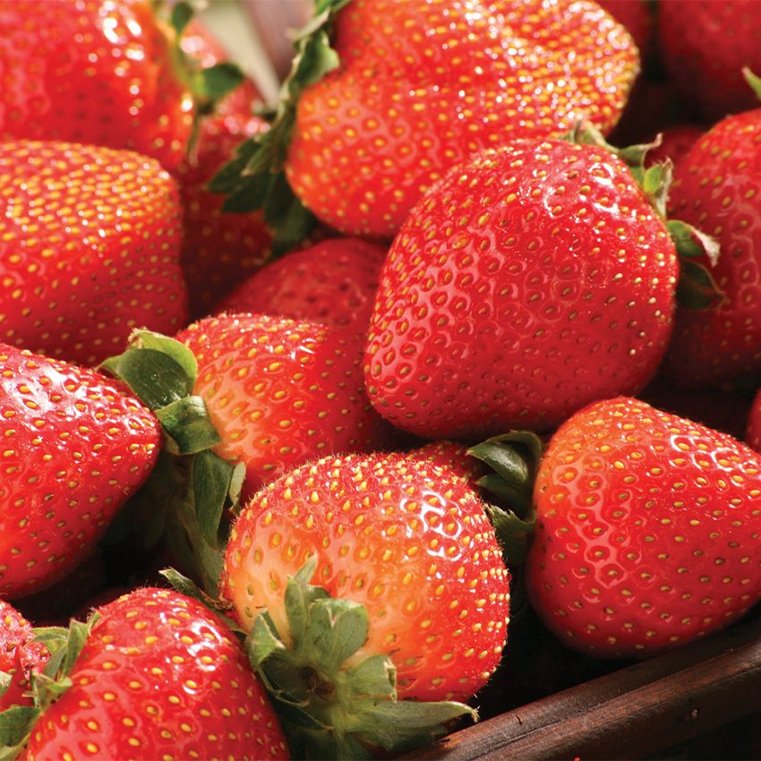 1 Lb. Fresh Strawberries, $2.99 Ea.