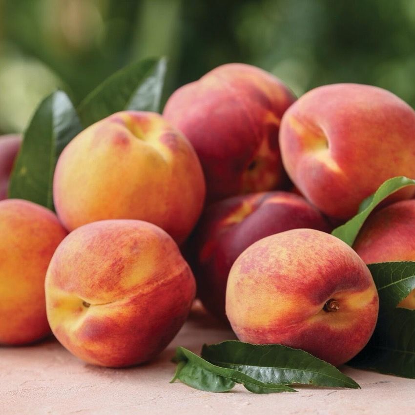 Sweet Southern Peaches, $1.99 Lb.