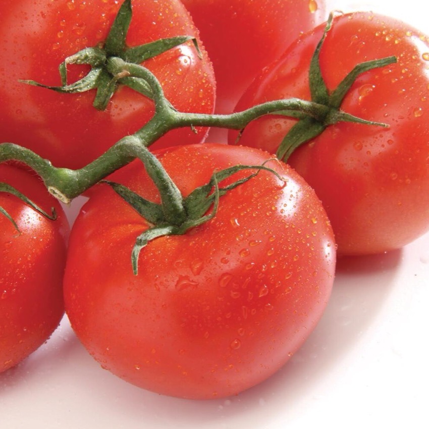 Tomatoes On the Vine