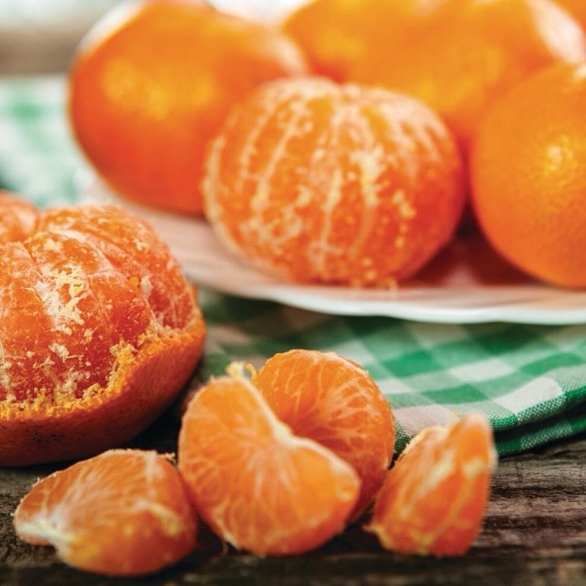Halos Clementines, $4.50