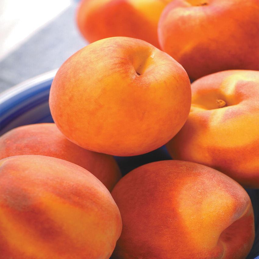 Southern Grown Peaches $1.67/Lb.