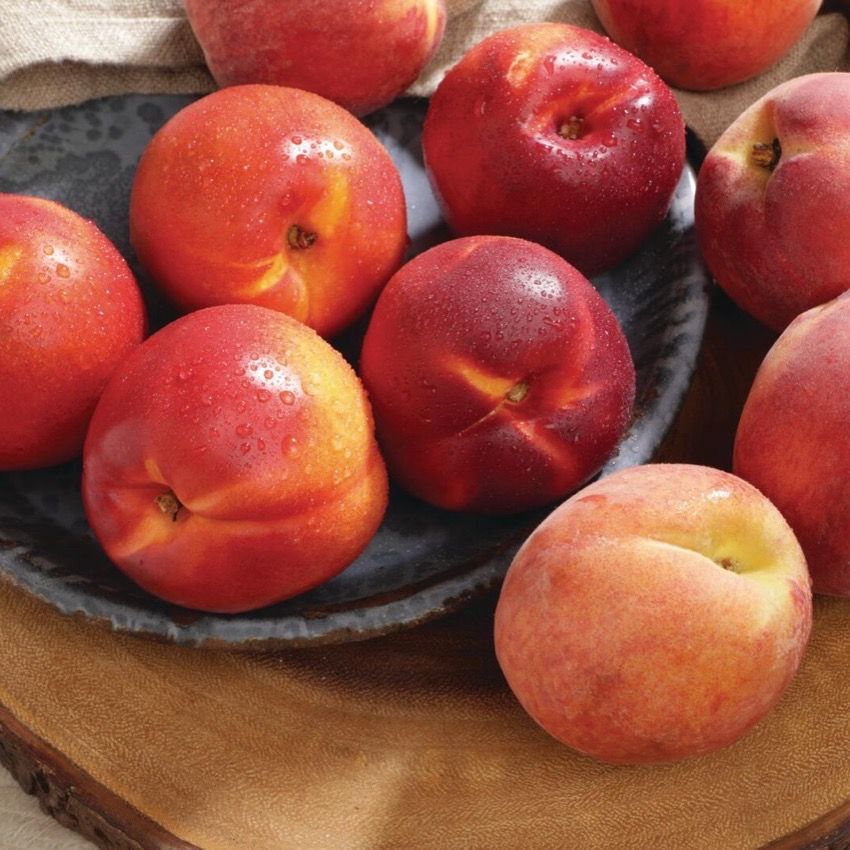 Peaches or Nectarines $1.99/Lb.