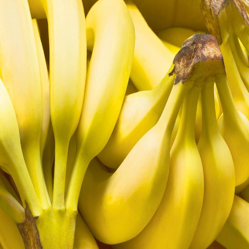 Golden Ripe Bananas