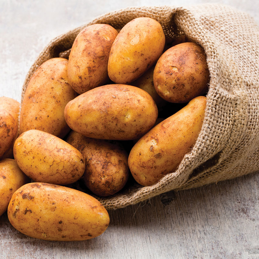 5 Lb. Bag Best Choice Russet Potatoes