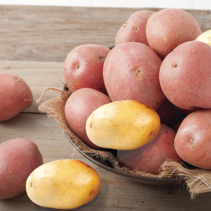 5 Lb. Bags Best Choice Red or Gold Potatoes