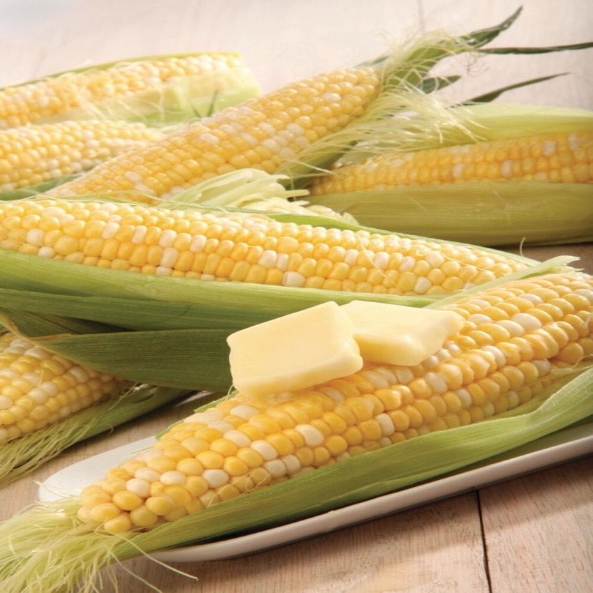 Bi Color Corn 59¢/Ea.