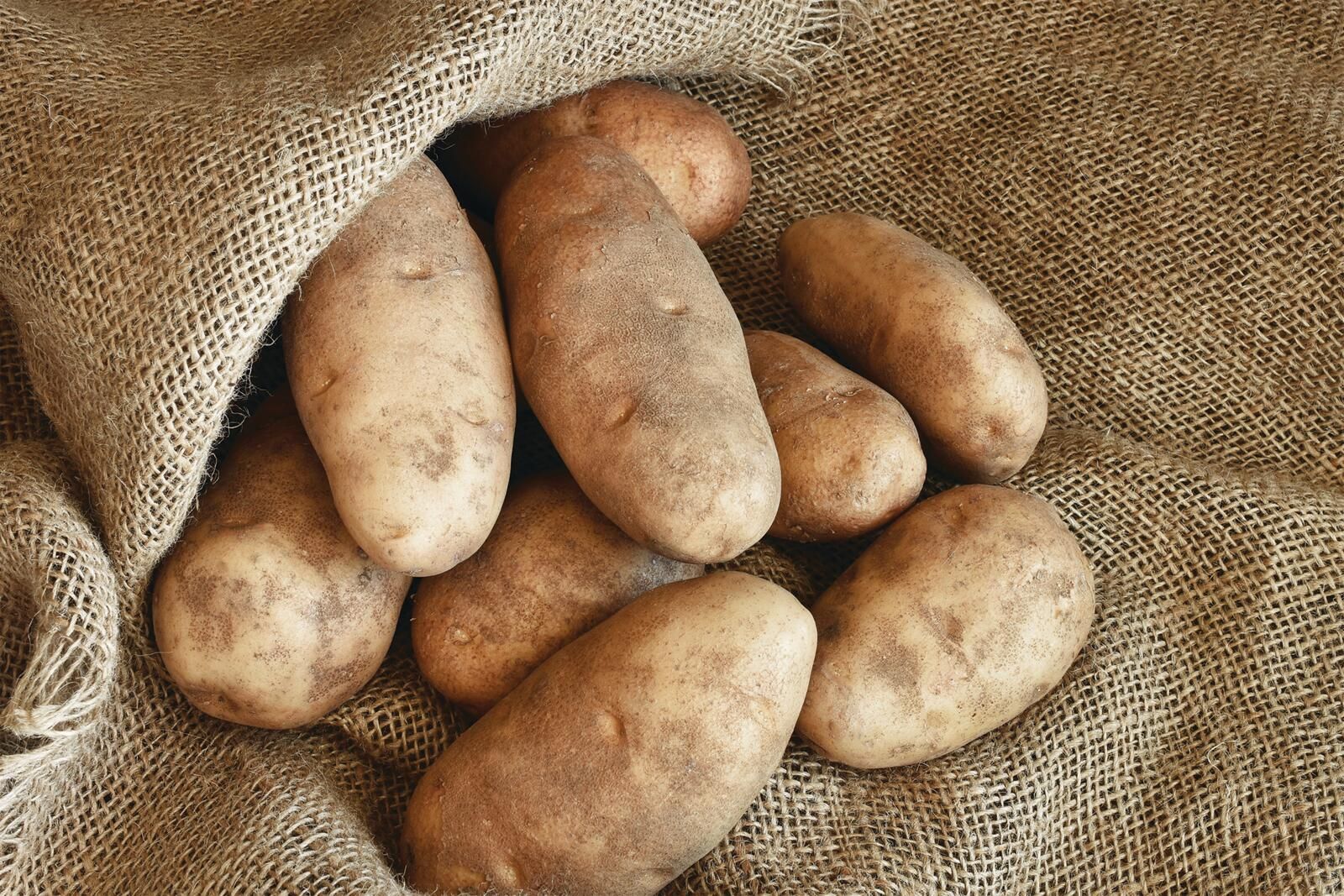 10 Lb. Best Choice Russet Potatoes, $3.29