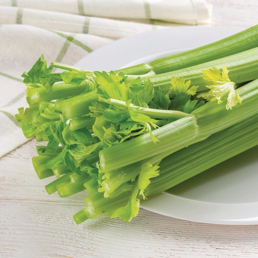 Crisp Celery