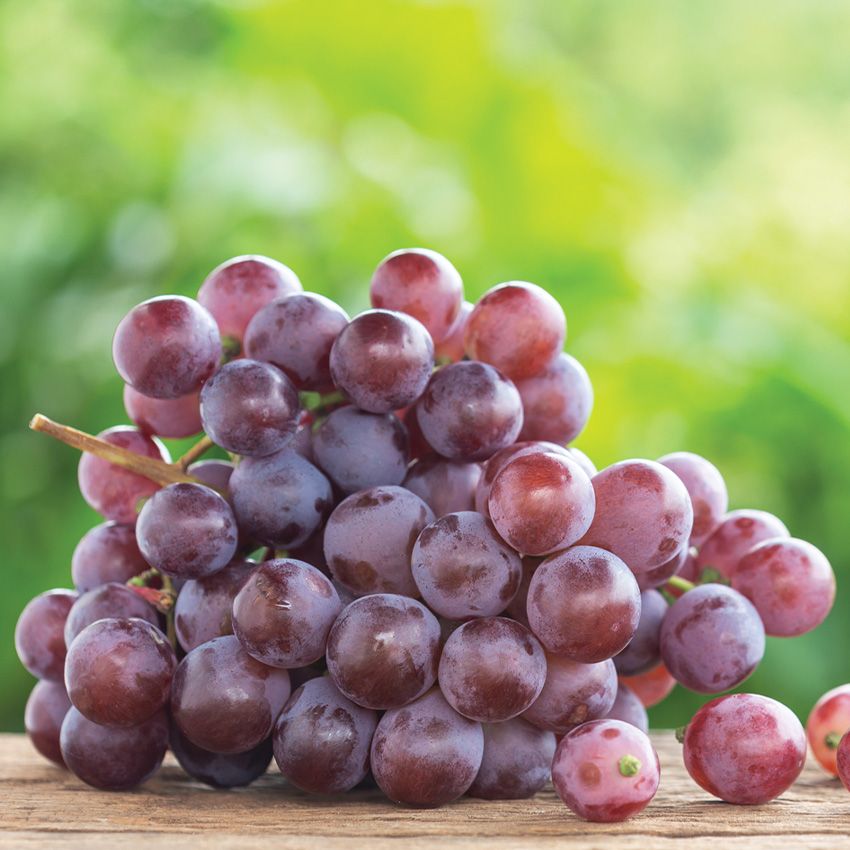 Red Seedless Grapes, $1.99 Lb.