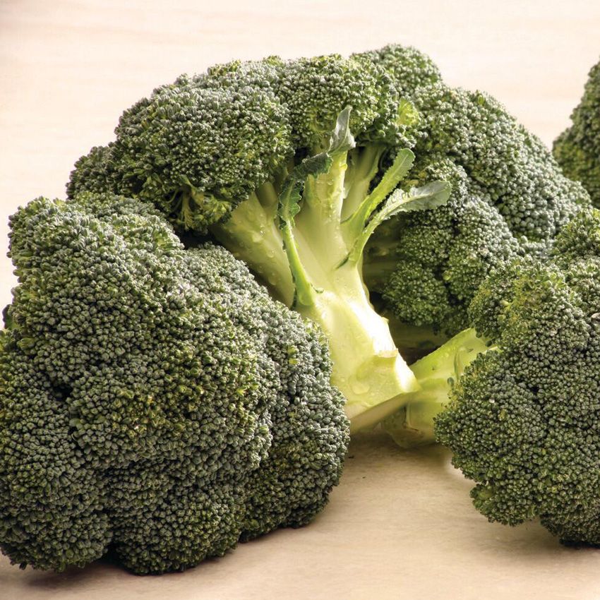 Broccoli Crowns, $1.99 Lb.