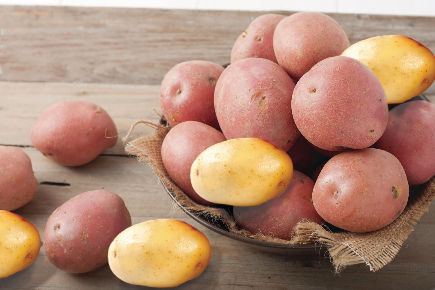 5 Lb. Best Choice Red or Gold Potatoes, $3.99 Ea.