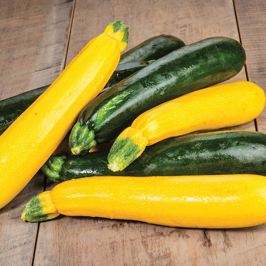 Zucchini or Yellow Squash, $1.89 Lb.