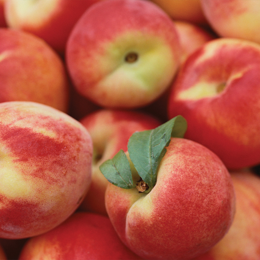 White or Yellow Peaches