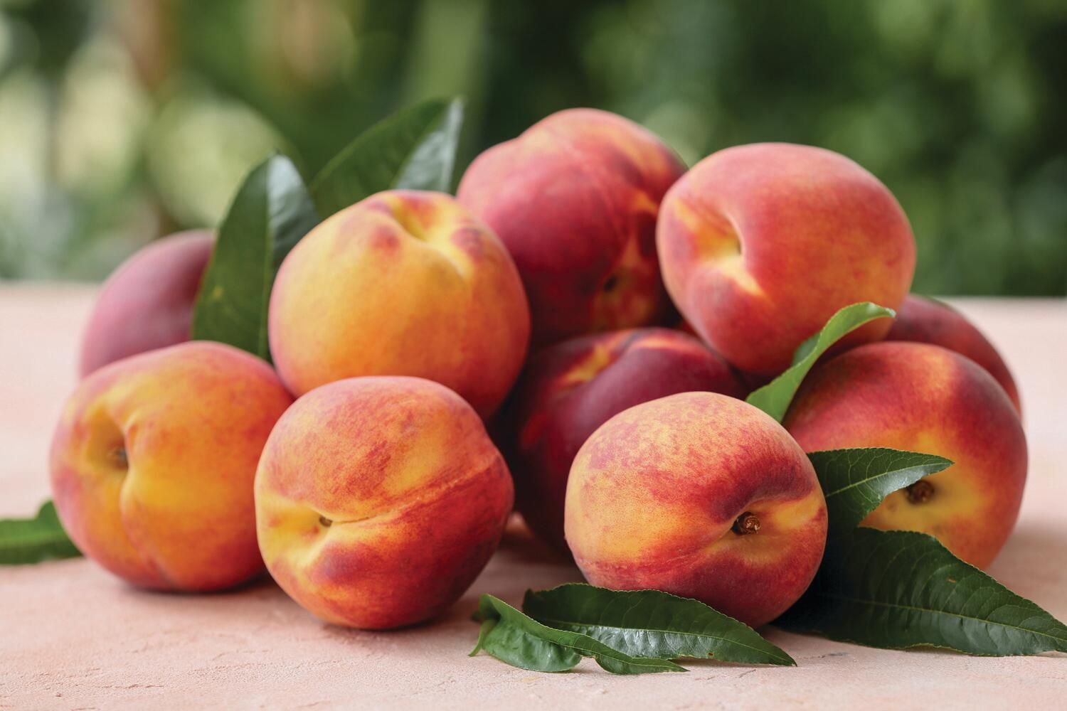 Peaches, $1.99 Lb.