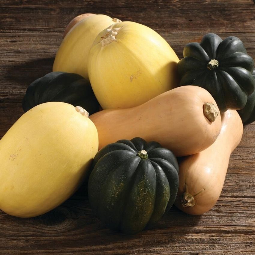 Assorted Squash, 99¢ Lb.