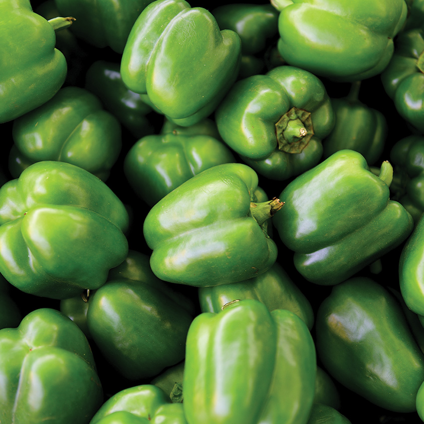 Green Bell Peppers