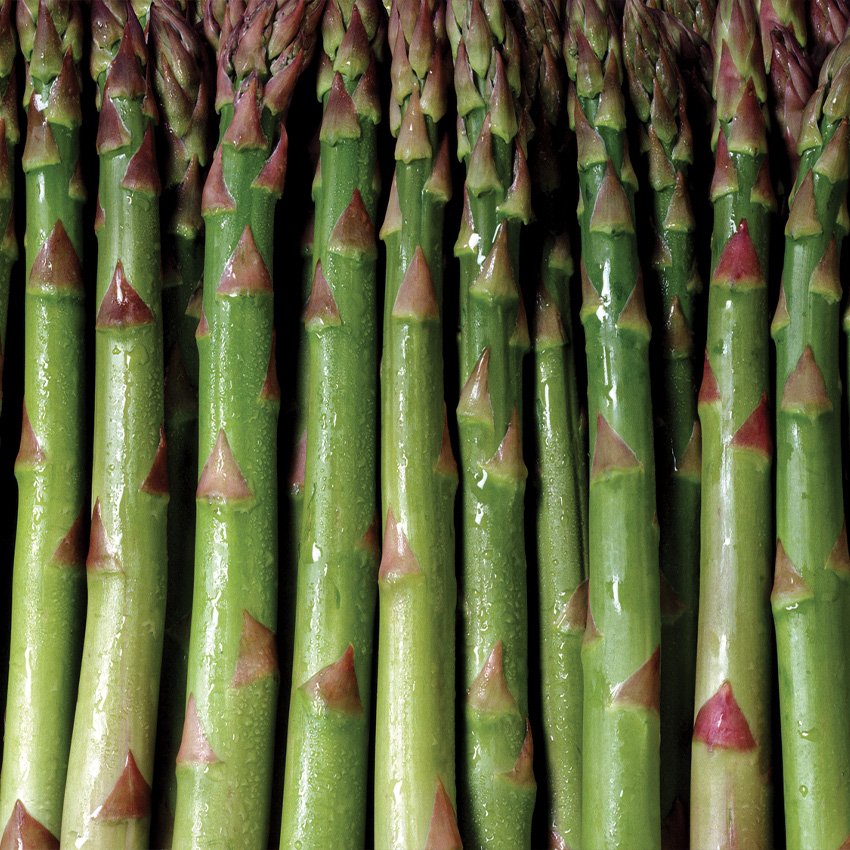 Fresh Asparagus