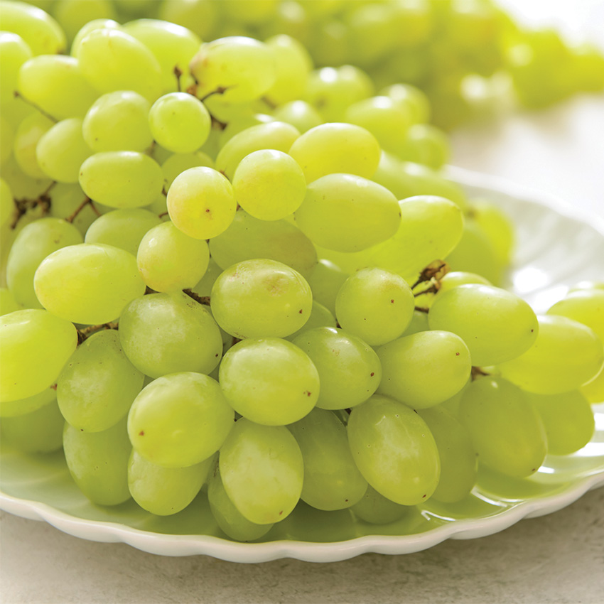 Large, Autumn Crisp Green Grapes
