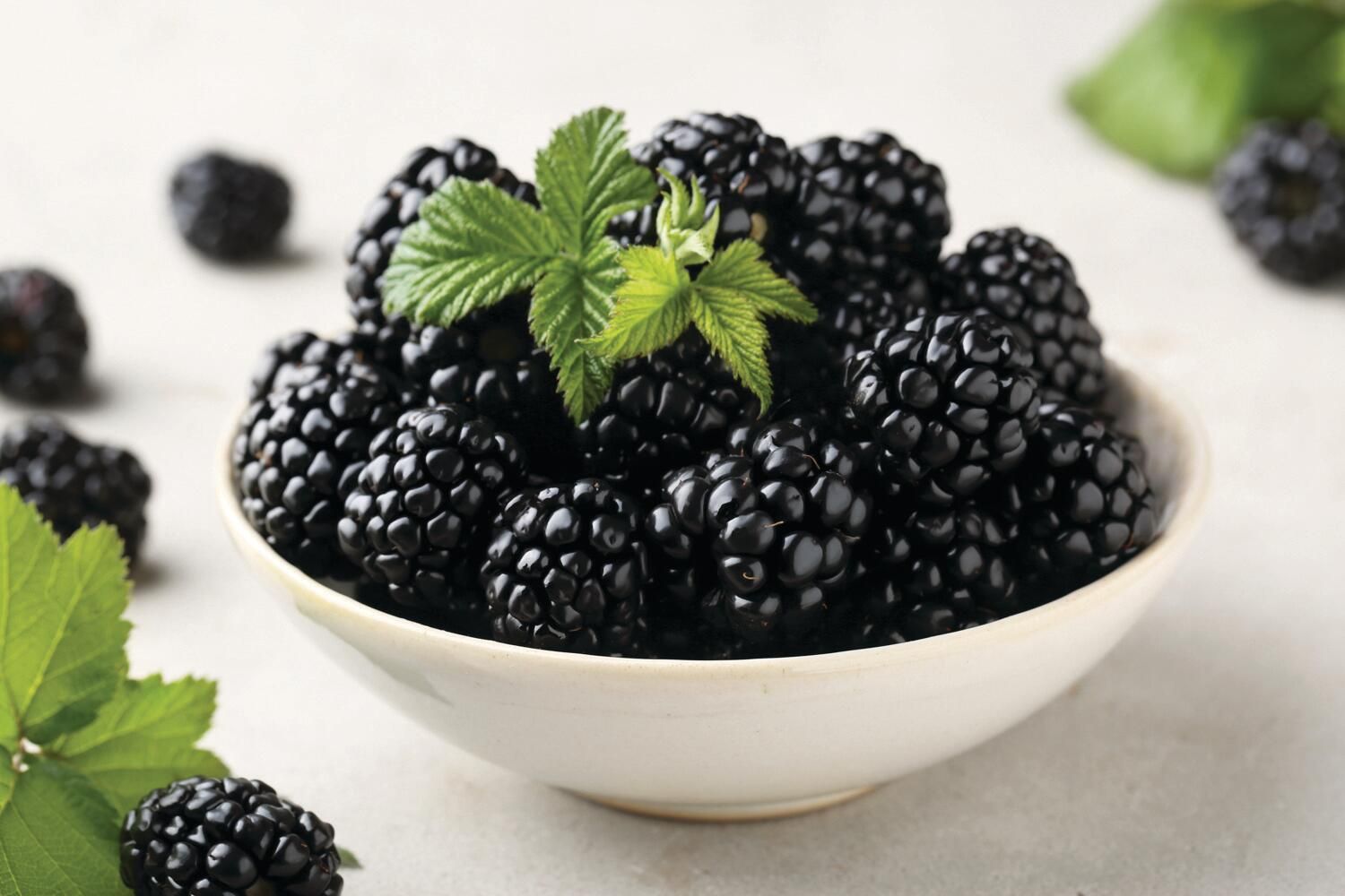 Fresh Blackberries 6 Oz., 1.99