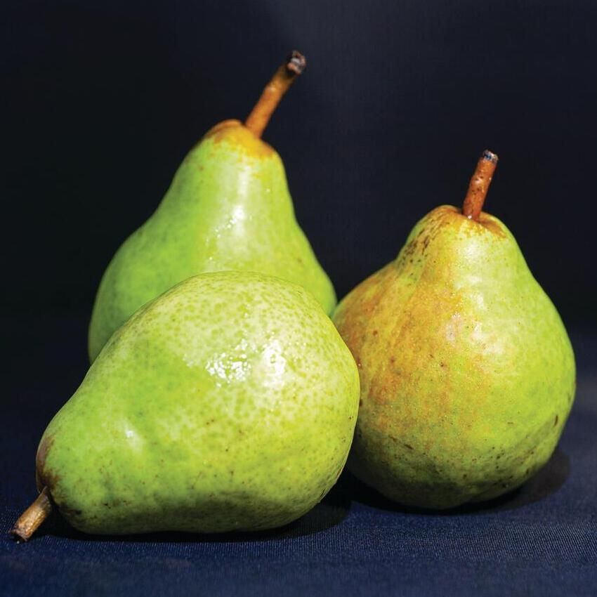 D'Anjou, Bosco, or Red Pears, $1.49 Lb.