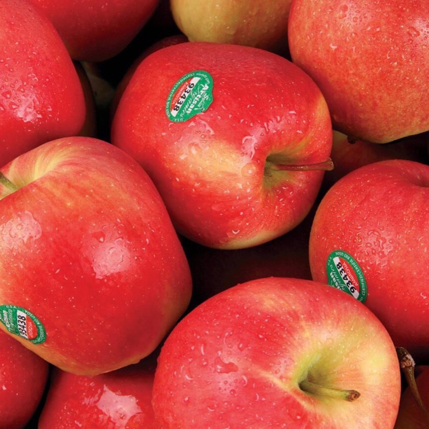 Washington Honeycrisp Apples