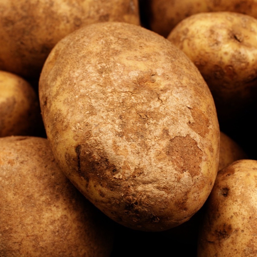 5 Lb. Bag Best Choice Russet Potatoes