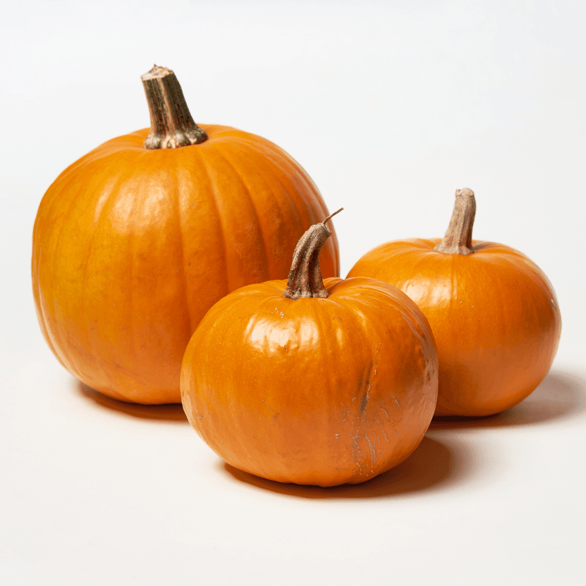 Pumpkin 2/$10