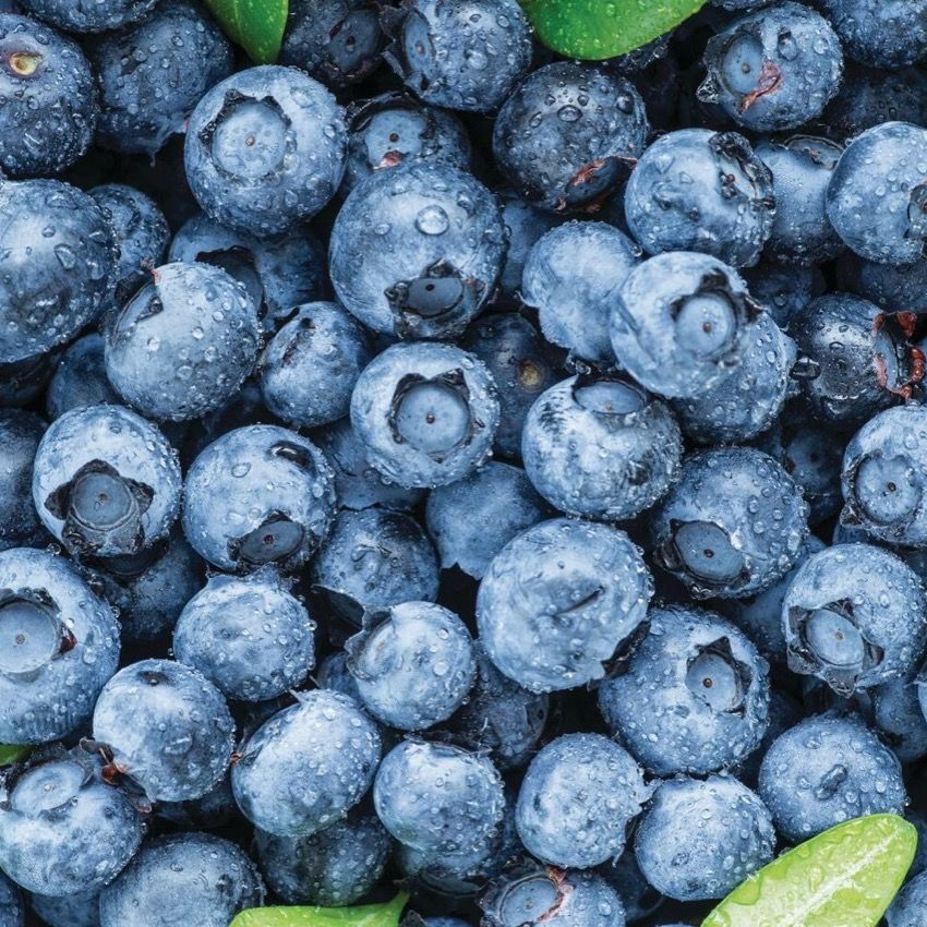 Pint Blueberries, $2 Ea.
