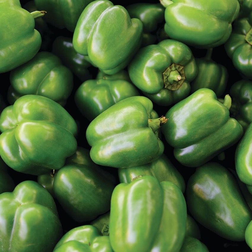 Extra Large Green Bell Peppers, 80¢ Ea.